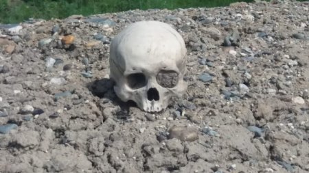 Человеческие черепа и кости на мусорной свалке нашли экологи в ВКО