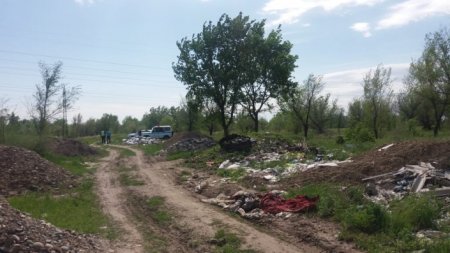 Человеческие черепа и кости на мусорной свалке нашли экологи в ВКО