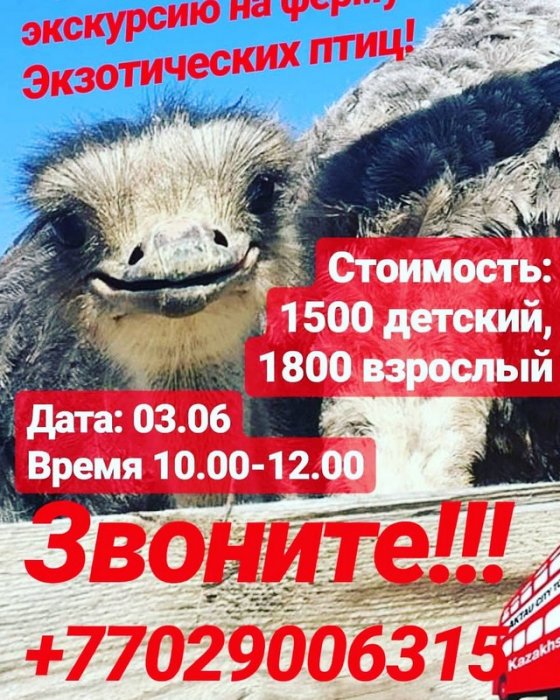 Как провести ближайшие выходные в Актау