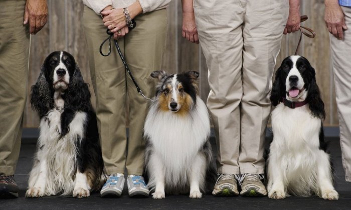 Как провести ближайшие выходные в Актау
