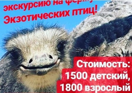 Как провести ближайшие выходные в Актау