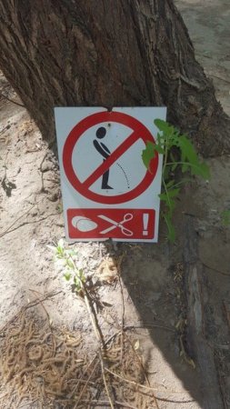 Без комментариев