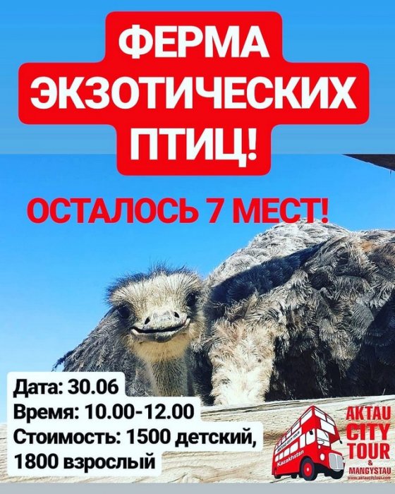 Как провести ближайшие выходные в Актау