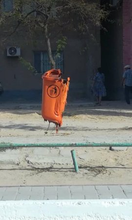 #Жанаозен. От такой жары гибнут не только люди