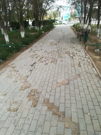 Жанаозен в центре города ВИДЕО