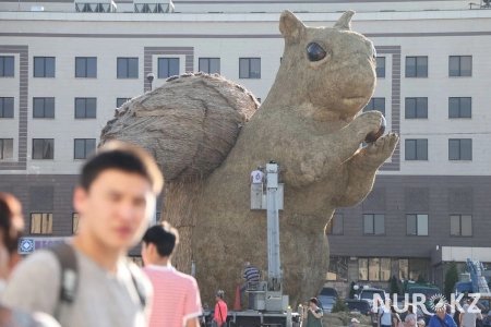 На установку белки в Алматы потратили 23 млн тенге