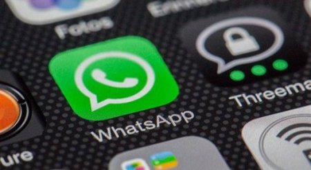 Главу отдела культуры хотят уволить за некультурное поведение в WhatsApp