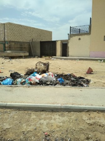 Антисанитария