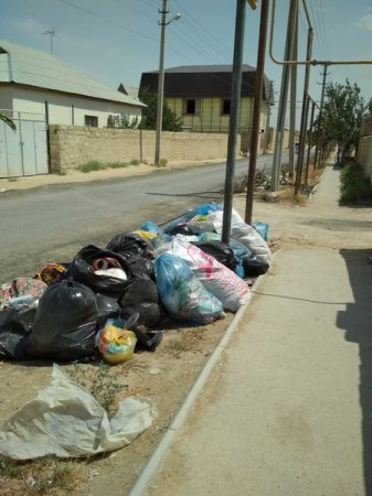 Антисанитария