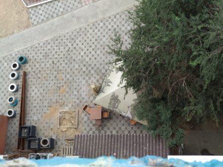 Срубили дерево!