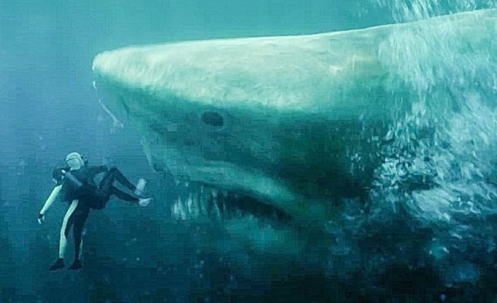 Как провести ближайшие выходные в Актау