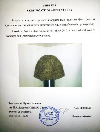 В Якутии продают единственную в мире шапку из шерсти мамонта