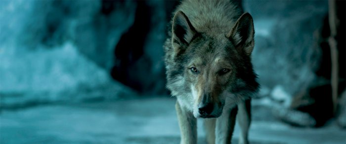 Как провести ближайшие выходные в Актау