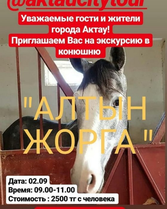 Как провести ближайшие выходные в Актау