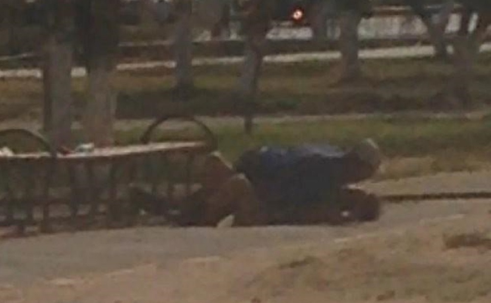 Любить не грех, любить не стыдно