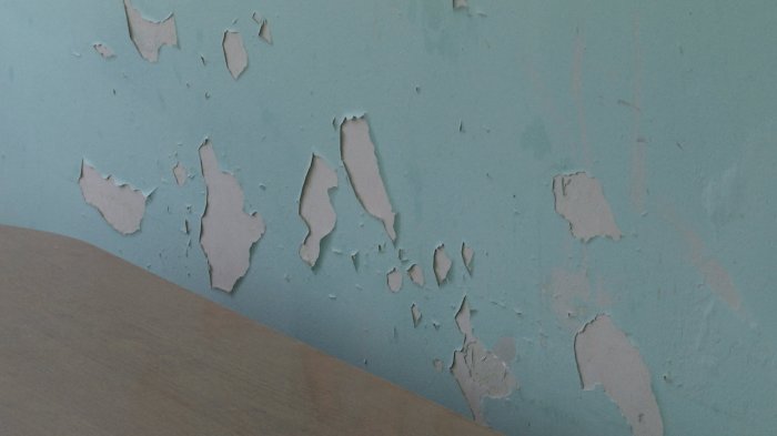 В Актау руководитель центра инфекционных заболеваний ответил на жалобы пациентов