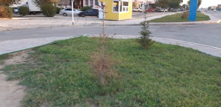 Последствия сезона полива