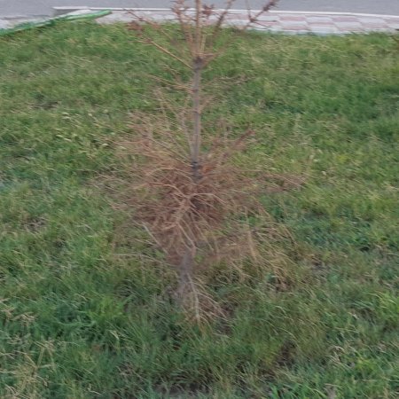 Последствия сезона полива