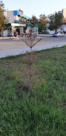 Последствия сезона полива