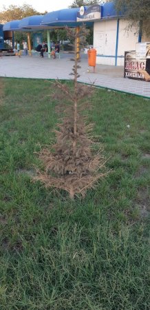 Последствия сезона полива