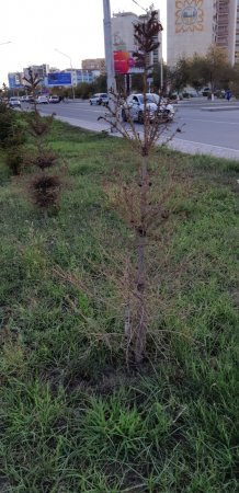 Последствия сезона полива