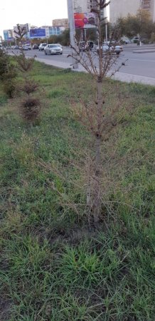 Последствия сезона полива