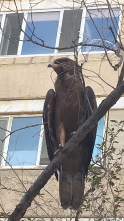 Прямо сейчас в 12 микрорайоне ВИДЕО