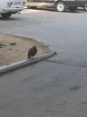 Прямо сейчас в 12 микрорайоне ВИДЕО