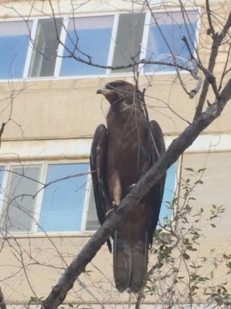 Прямо сейчас в 12 микрорайоне ВИДЕО