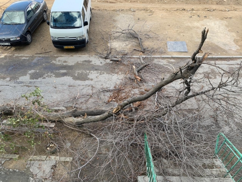 1 микрорайон 18 дом