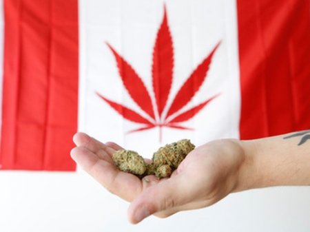 Пассажирам в Канаде разрешили проносить марихуану в самолет