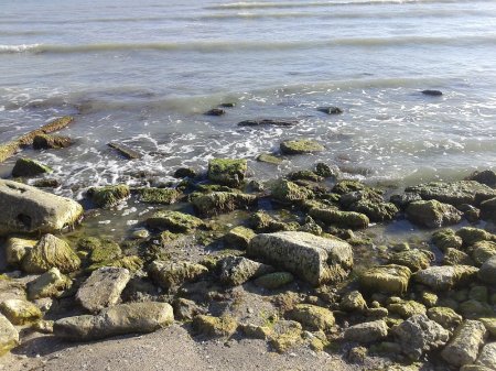 Свалка на пляже первого микрорайона.