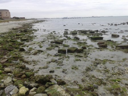 Свалка на пляже первого микрорайона.