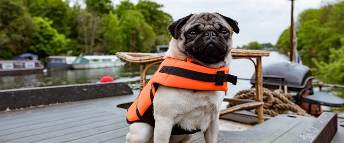 Как провести ближайшие выходные в Актау