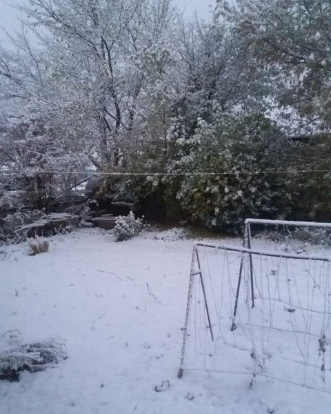 В Северном Казахстане выпал первый снег