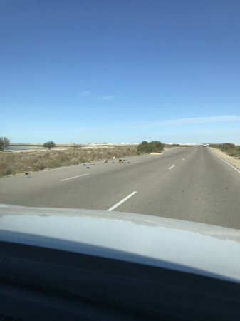 Свалка на Тёплом пляже