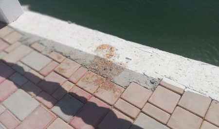 Металлическое ограждение установили для защиты от мусора посетителей скальной тропы в Актау