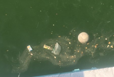 Металлическое ограждение установили для защиты от мусора посетителей скальной тропы в Актау