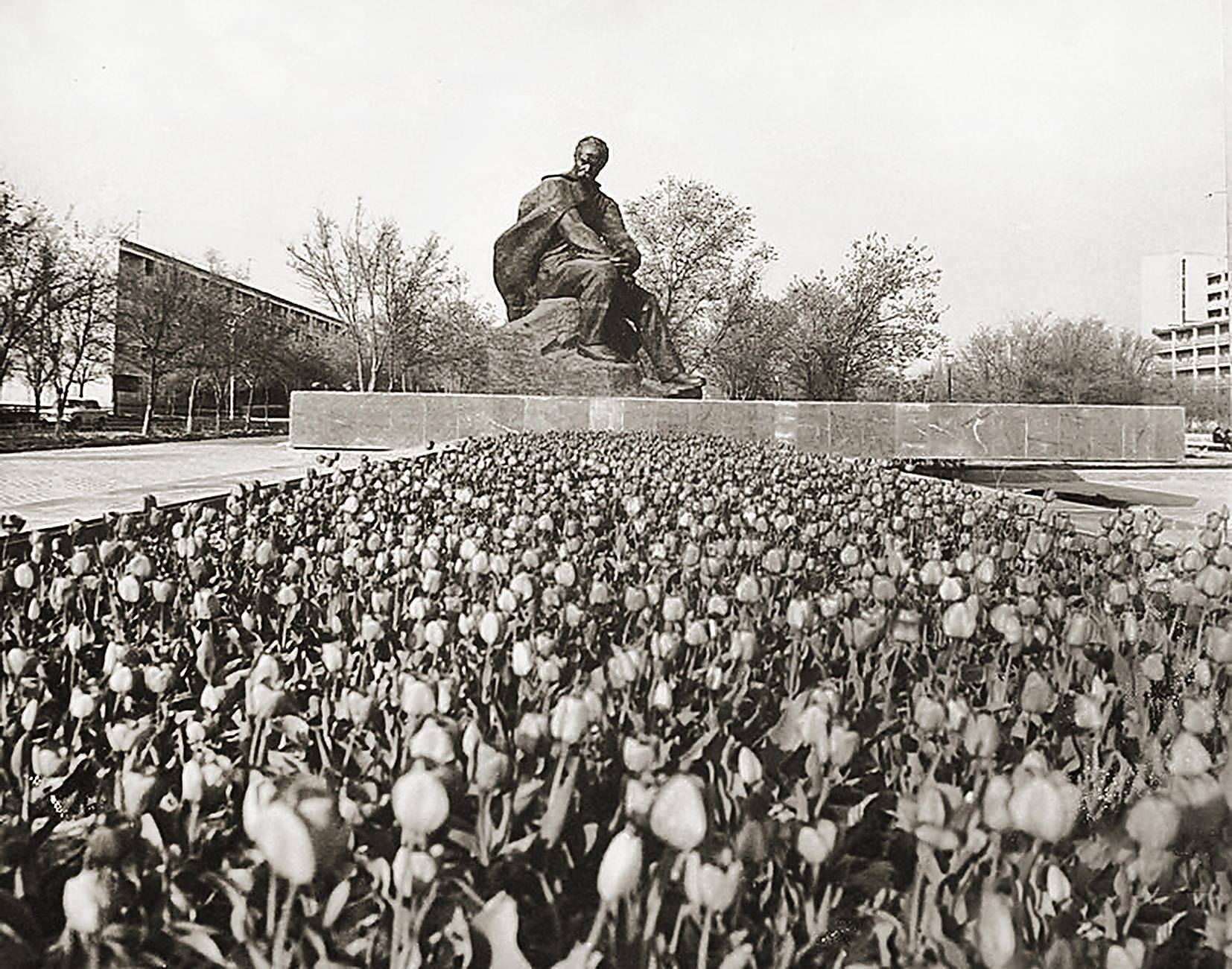 Море цветов