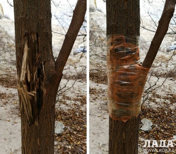 Виртуальный тур по Мангистау: Каньон воющих волков