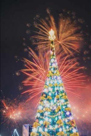 Какая краше? Самые яркие новогодние елки в городах Казахстана