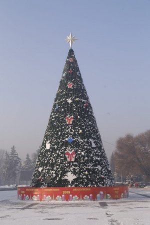 Какая краше? Самые яркие новогодние елки в городах Казахстана