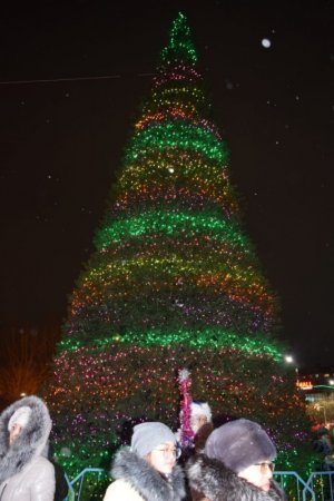 Какая краше? Самые яркие новогодние елки в городах Казахстана