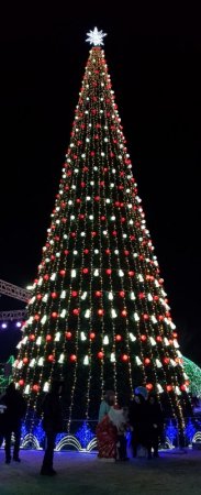 Какая краше? Самые яркие новогодние елки в городах Казахстана