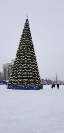 Какая краше? Самые яркие новогодние елки в городах Казахстана