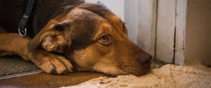 Как провести ближайшие выходные в Актау