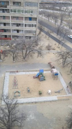 Первые подснежники