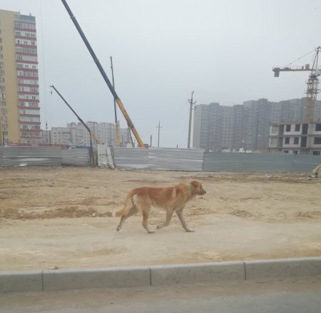 Опубликуйте пожалуйста!