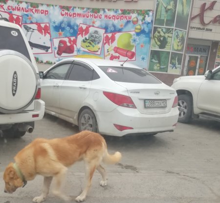 Опубликуйте пожалуйста!