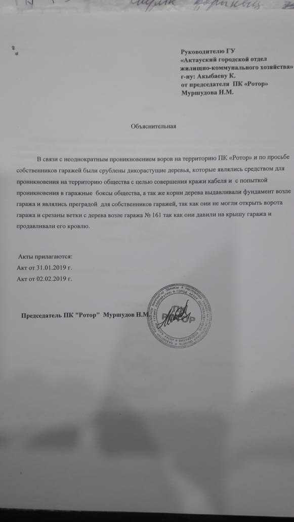 Воры стали причиной вырубки деревьев в гаражном сообществе в Актау